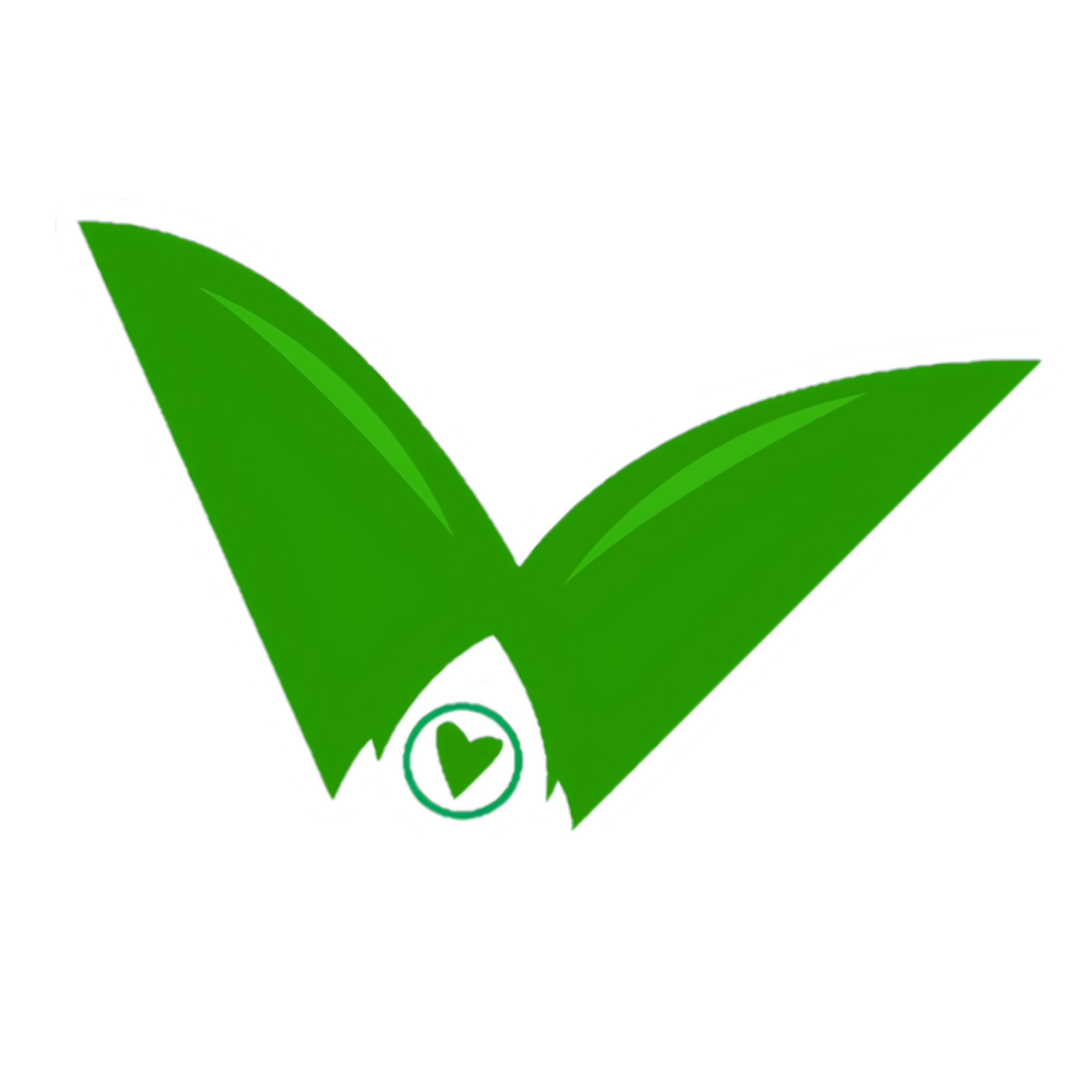 Velavaa Tours Logo